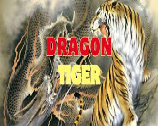 드래곤 타이거 구조 완전 분석 4가지 핵심 포인트 정리